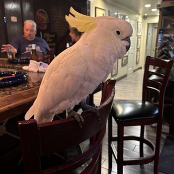 Cuban Cigar Factory - Look who's hanging out - Tobacco Shops Near Me - San Diego, California Cuban Cigar Factory - Look who's hanging out - Tobacco Shops Near Me - San Diego, California