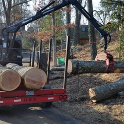 TJ's Outdoor Services - wood logged out in 12 foot logs