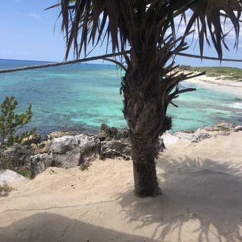 Coconuts Bar & Grill - View from our table - Bars Near Me - Cozumel, ROO