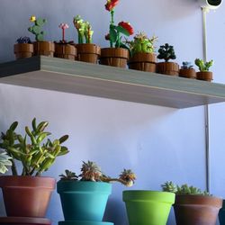 Amplify Cafe - Plants