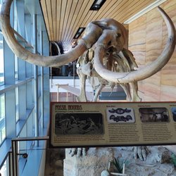 Wyoming Welcome Center - Fossil Found in Area