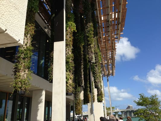 Pérez Art Museum Miami by null Pérez Art Museum Miami by null