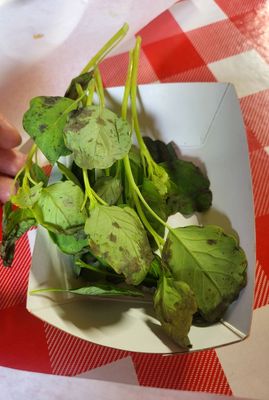 Cemitas Poblanas Juquilita by null