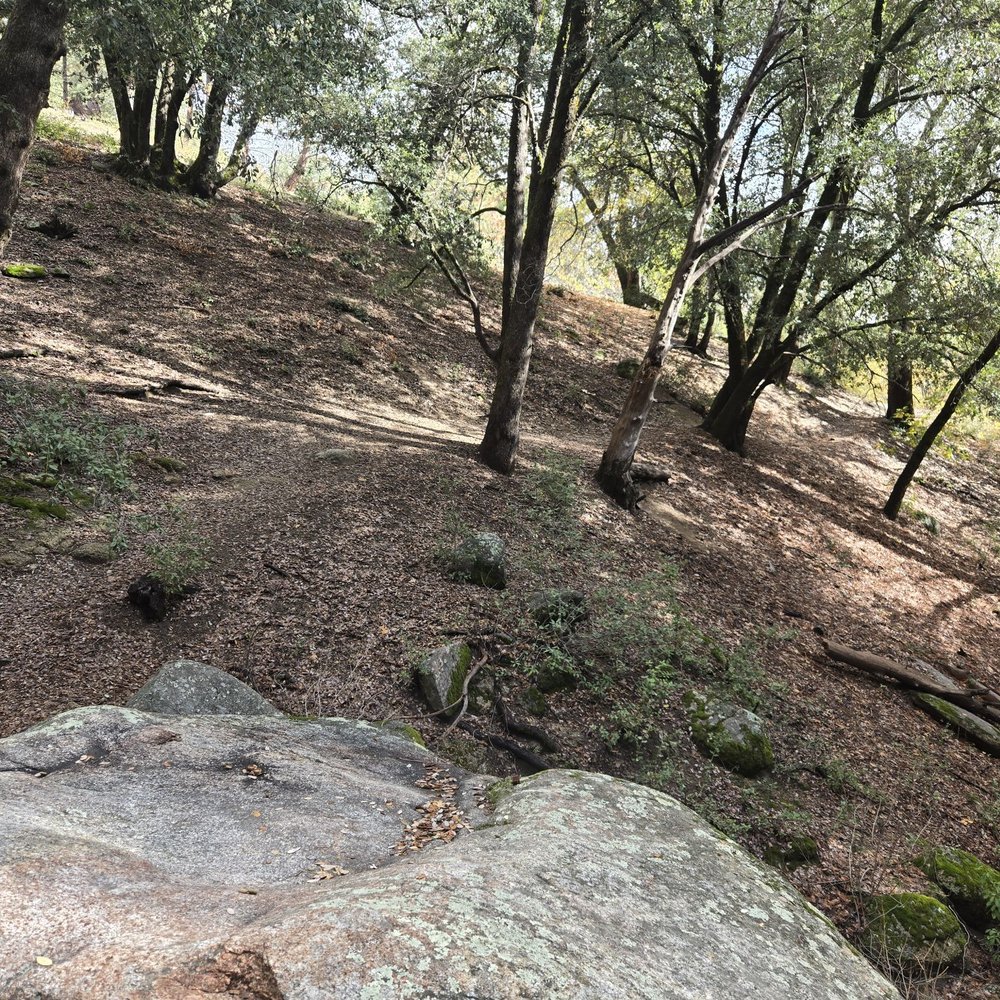 Palomar Mountain-Observatory Trail - Observatories Near Me