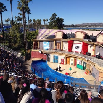 Sea Lions Live - Enjoying the view of Mission Bay is you sit at the very top rows! - Performing Arts Near Me - San Diego, California Sea Lions Live - Enjoying the view of Mission Bay is you sit at the very top rows! - Performing Arts Near Me - San Diego, California