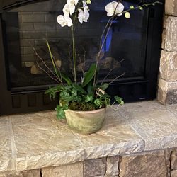 The Gardener's Cottage - Is this worth $200 (not including the delivery fee of $15)?