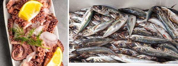 Osler Fish Market by null