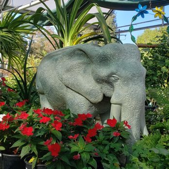 Fair Oaks Boulevard Nursery - Nurseries & Gardening Near Me - Sacramento, California Fair Oaks Boulevard Nursery - Nurseries & Gardening Near Me - Sacramento, California