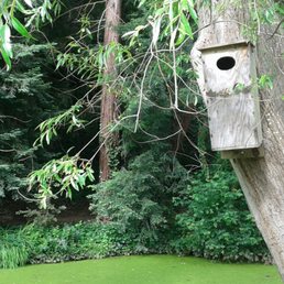 What a cute little birdhouse!
