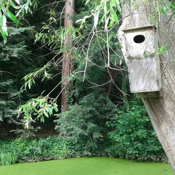 Lake Temescal - What a cute little birdhouse! - Parks Near Me - Oakland, California