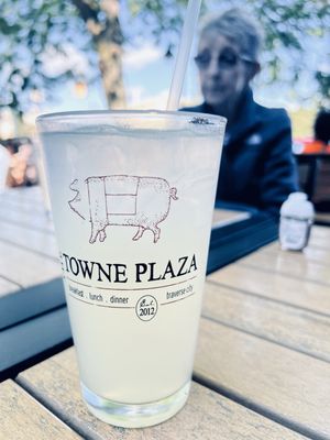 The Towne Plaza by null