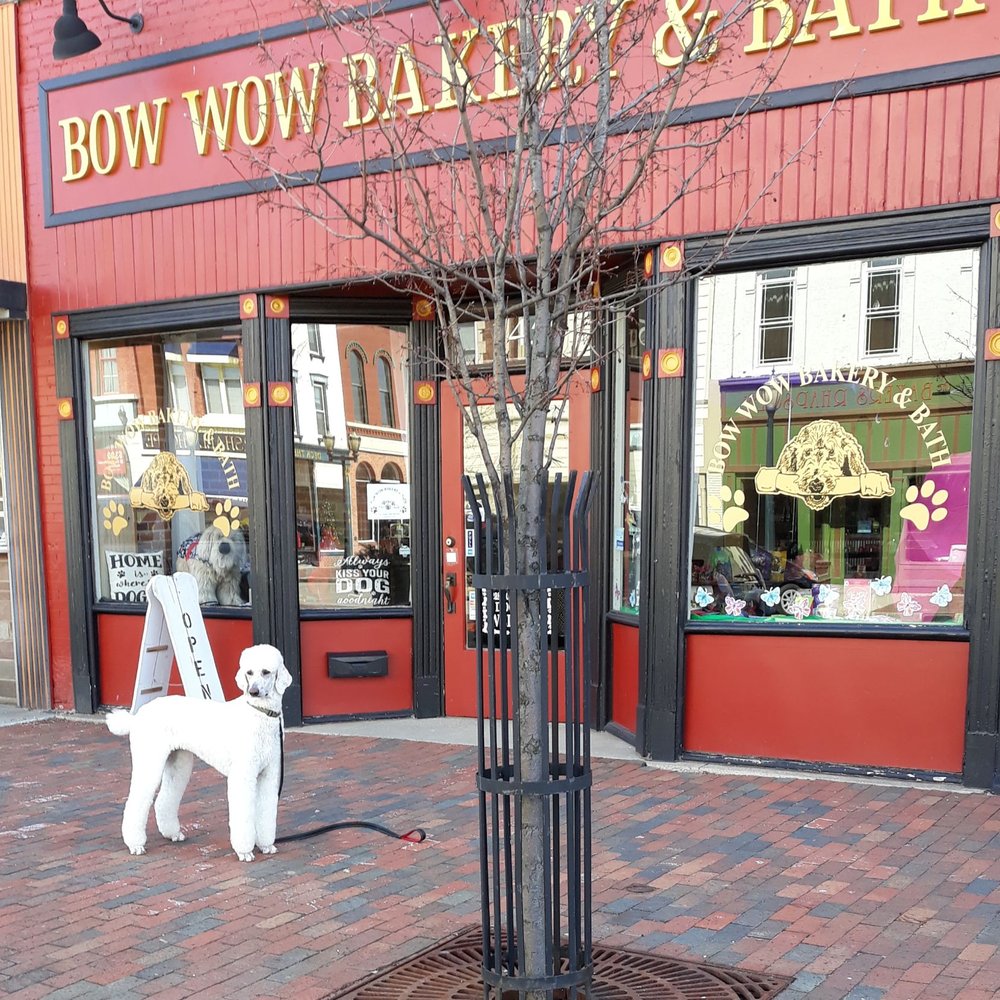 Bow Wow Bakery & Bath - Zoey! Fresh from the Bakery!! - Pet Groomers Near Me - Dowagiac, Michigan Bow Wow Bakery & Bath - Zoey! Fresh from the Bakery!! - Pet Groomers Near Me - Dowagiac, Michigan
