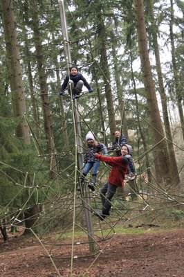 Thetford Forest by null