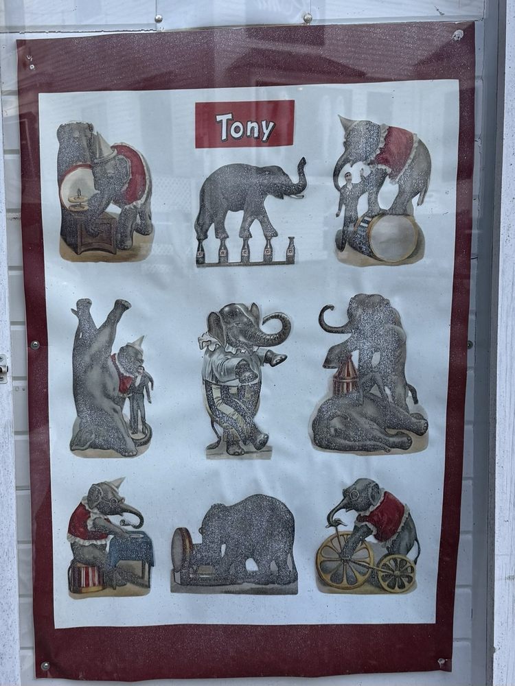 The Knotty Elephant Logo