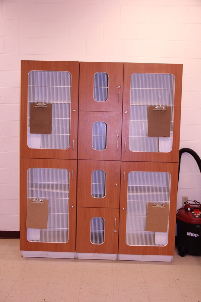 ANDESSTRALEY VETERINARY HOSPITAL Updated October 2024 10 Photos & 15 Reviews 3407