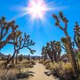 Photo of 29 Trail Tours