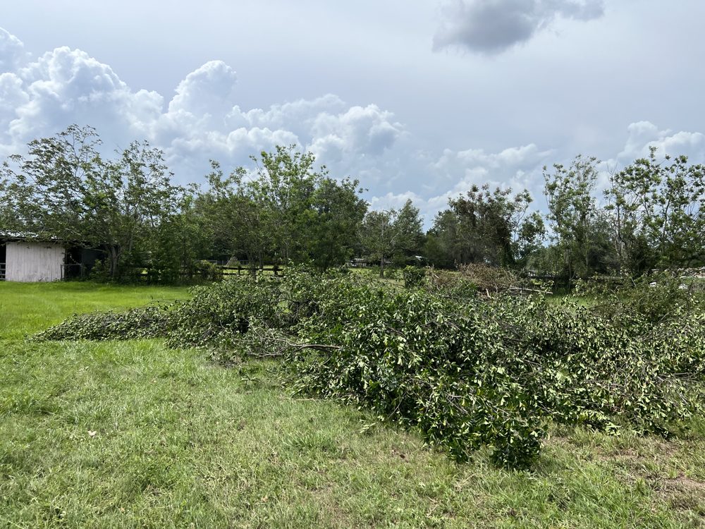 Slide of Diamond Loaders