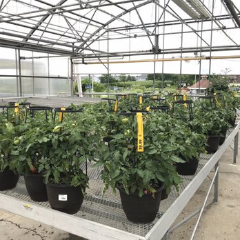 Bordine's - Nurseries & Gardening Near Me - Rochester Hills, Michigan