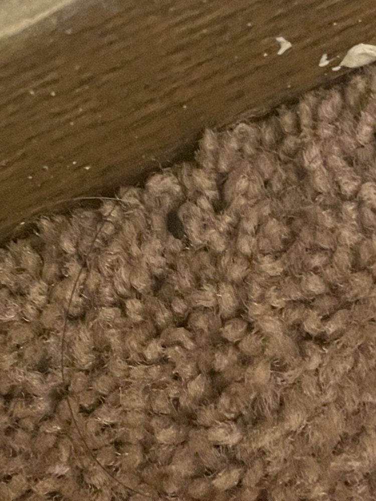 RAMSGATE APARTMENTS Updated August 2024 421 Van Buren Ave N