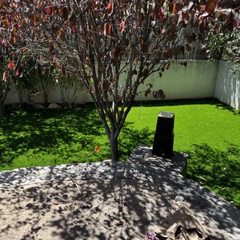 The Turf Guy - Back yard area behind the pool. - Artificial Turf Near Me - Santa Monica, California The Turf Guy - Back yard area behind the pool. - Artificial Turf Near Me - Santa Monica, California