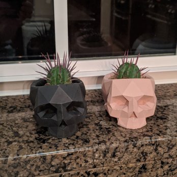 Plant Party - Till death do us part.  His and hers cacti skull planters. Perfect for halloween - Florists Near Me - Austin, Texas