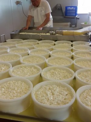 Prom Country Cheese by null