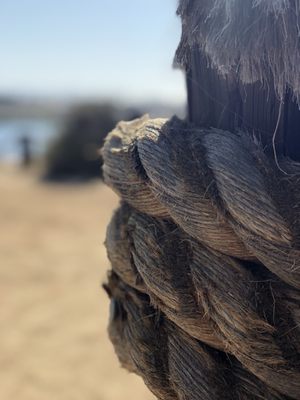 Wetlands & Wildlife Care Center by null