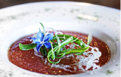 Townhall Maple Ridge by null