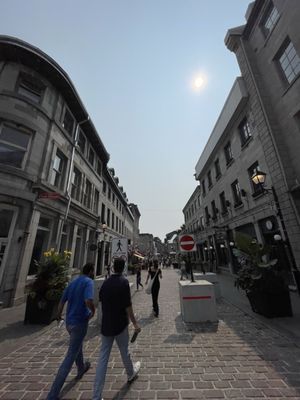 Alternative Hostel of Old Montreal by null