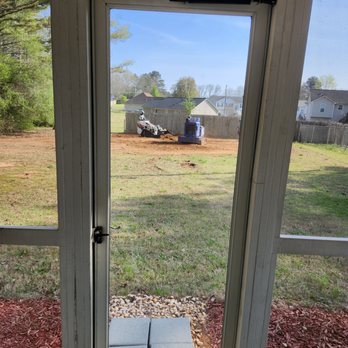 Knock Out Stump Grinding - Michael & team working on stump grinding my pine stumps. March 2026 - Tree Services Near Me
