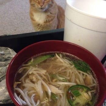 99 Fast Food - Ordered pho ga. Very good for my first experience. Mikko liked setting at it - Vietnamese Near Me - Buffalo, New York
