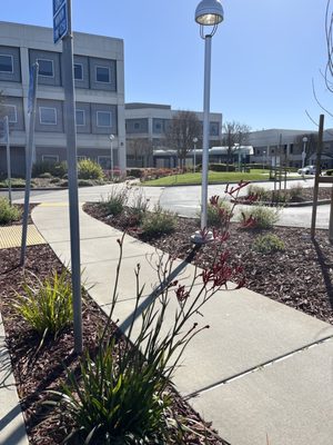 Kaiser Permanente Union City Medical Offices by null