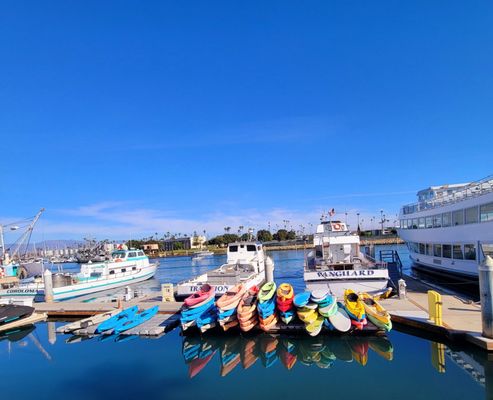 Channel Islands Kayak Center by null