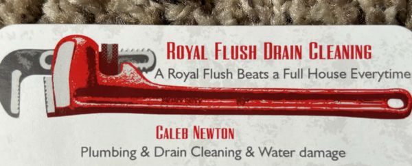 Royal Flush Drain Cleaning Logo
