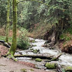 Byrne Creek Ravine Park