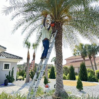 Palomares Landscaping - Lawn Services Near Me Palomares Landscaping - Lawn Services Near Me