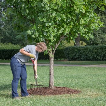 Simpson's Tree Service - Organic mulch will conserve water in the soil; allow better infiltration of water into the soil. - Tree Services Near Me Simpson's Tree Service - Organic mulch will conserve water in the soil; allow better infiltration of water into the soil. - Tree Services Near Me