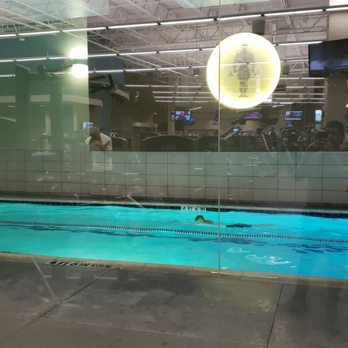 Gold's Gym - Austin Anderson Arbor - This location has a pool - Gyms Near Me - Austin, Texas Gold's Gym - Austin Anderson Arbor - This location has a pool - Gyms Near Me - Austin, Texas