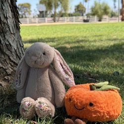 Plants 4 U - Bunny and Clementine Jellycat bought from here!
