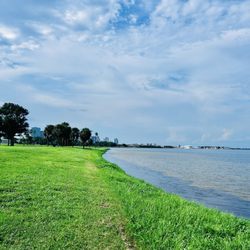 Lassing Park - St. Petersburg in the distance