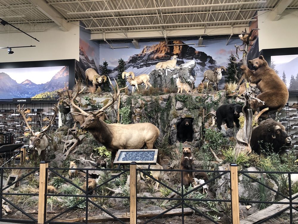 SPORTSMAN’S WAREHOUSE 29 Photos & 16 Reviews 800 Brevard Rd