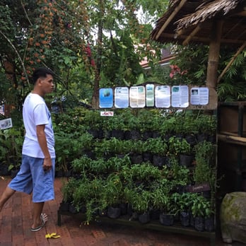 Sonya's Garden - Plants for sale - Bed & Breakfast Near Me - Alfonso, CAV