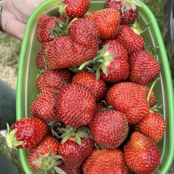 McQuesten Farm Stand