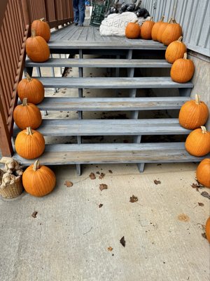 Hillside Orchard Farms by null