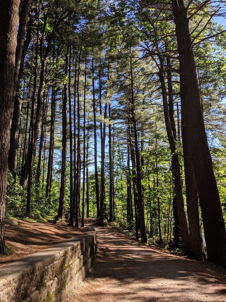 LIVINGSTON PARK 30 Photos & 23 Reviews 244 Hooksett Rd, Manchester