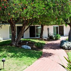 Harbor Post Acute Care Center - The beautiful inside garden.