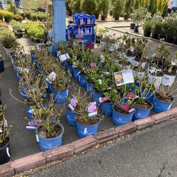 Logan's Garden Shop - Nurseries & Gardening Near Me - Raleigh, North Carolina