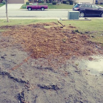 Cervantes Tree Services - Tree Services Near Me