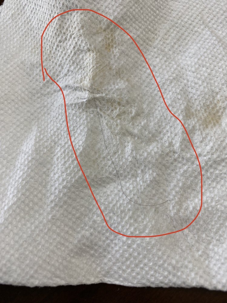 EL CREADOR Updated May 2024 10 Reviews 197 North Ave, Dunellen