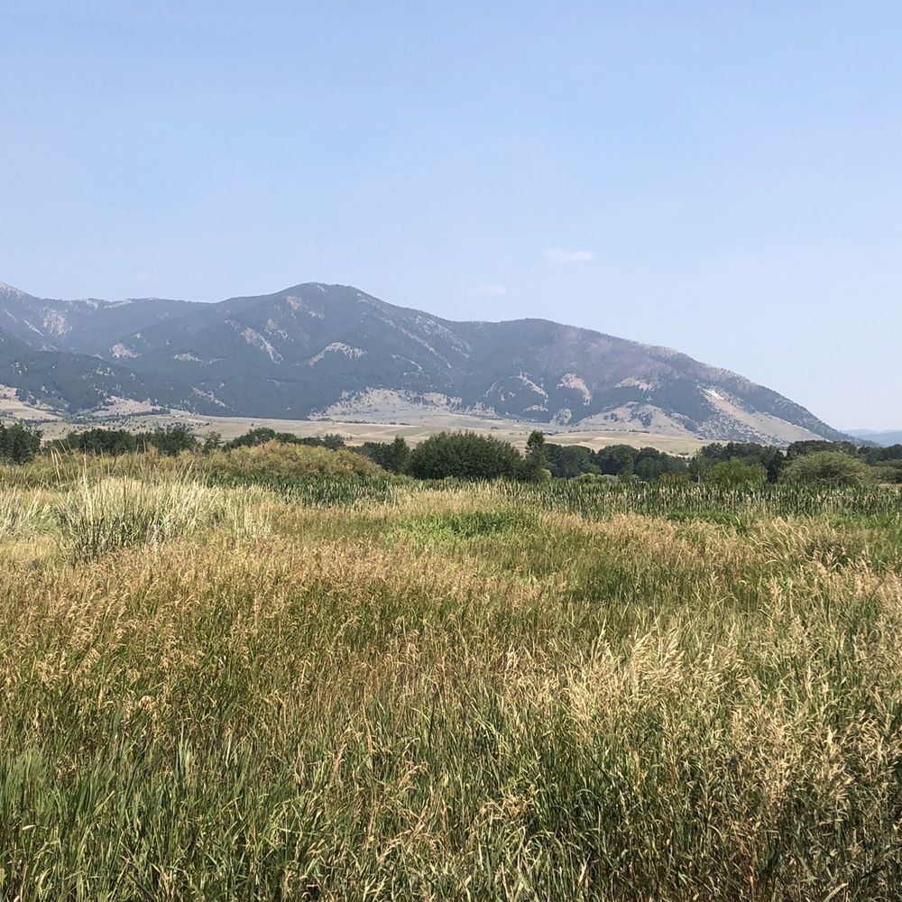Cherry River Fishing Access - The M in the distance - Fishing Near Me - Bozeman, Montana